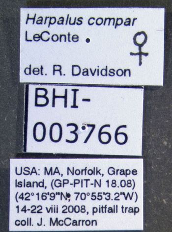 Media type: image;   Entomology 614663 Aspect: labels